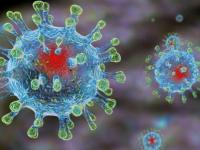 Как защититься от коронавируса 2019-nCoV?
